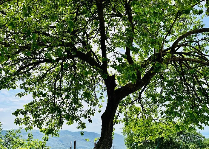 La Riggiola Отель типа 