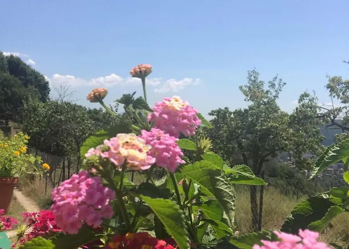 La Riggiola